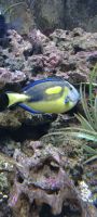 Dingle Aquarium