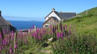 Dingle Beehives 2