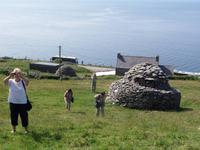 Dingle Beehives