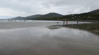 Dingle Inch
