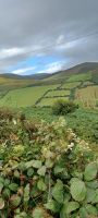 Dingle Isle