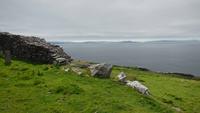 Dingle-Rundfahrt