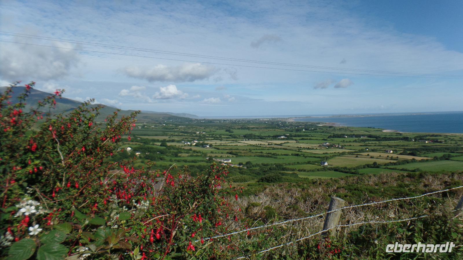 Dingle