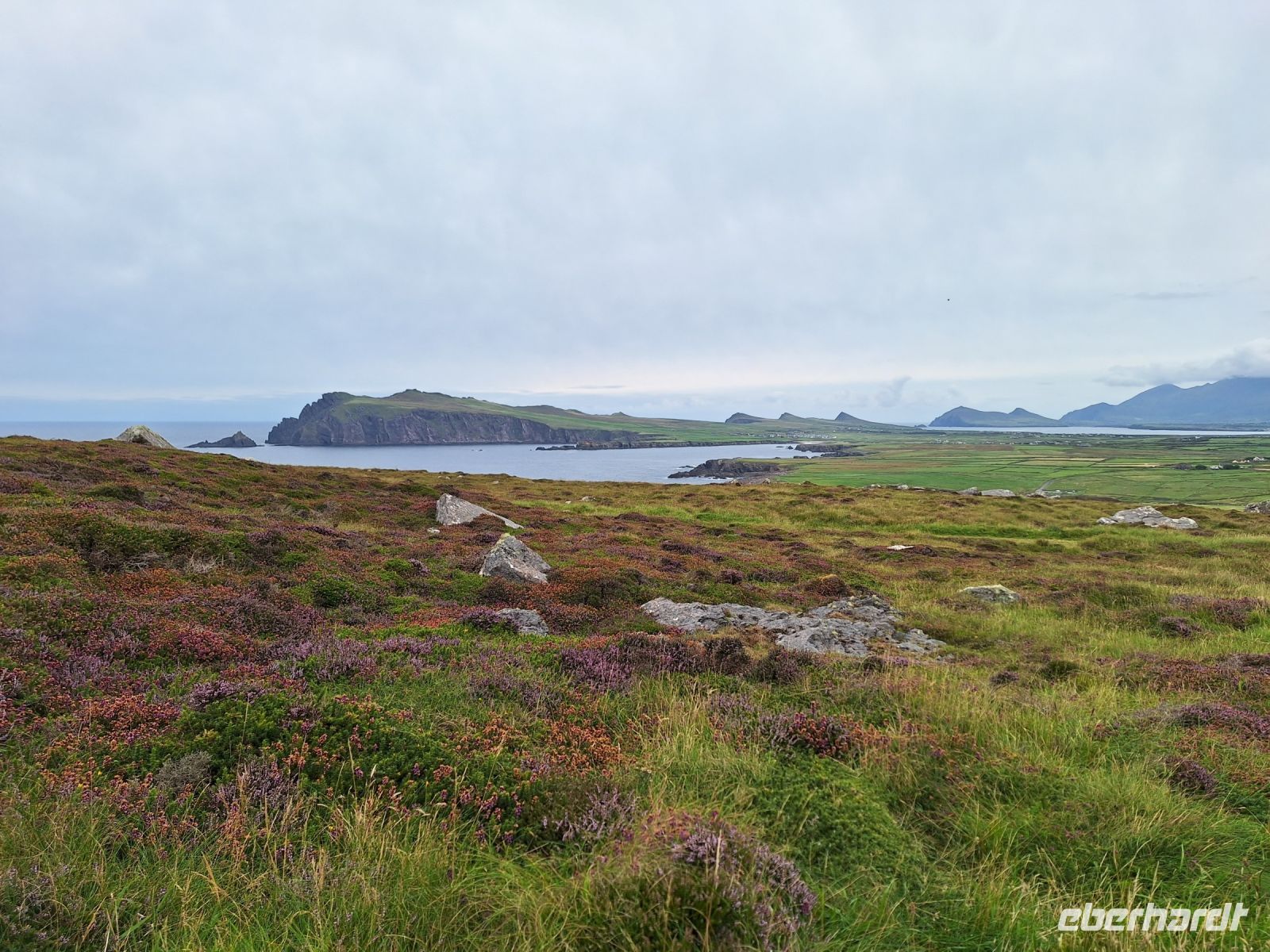 Dingle