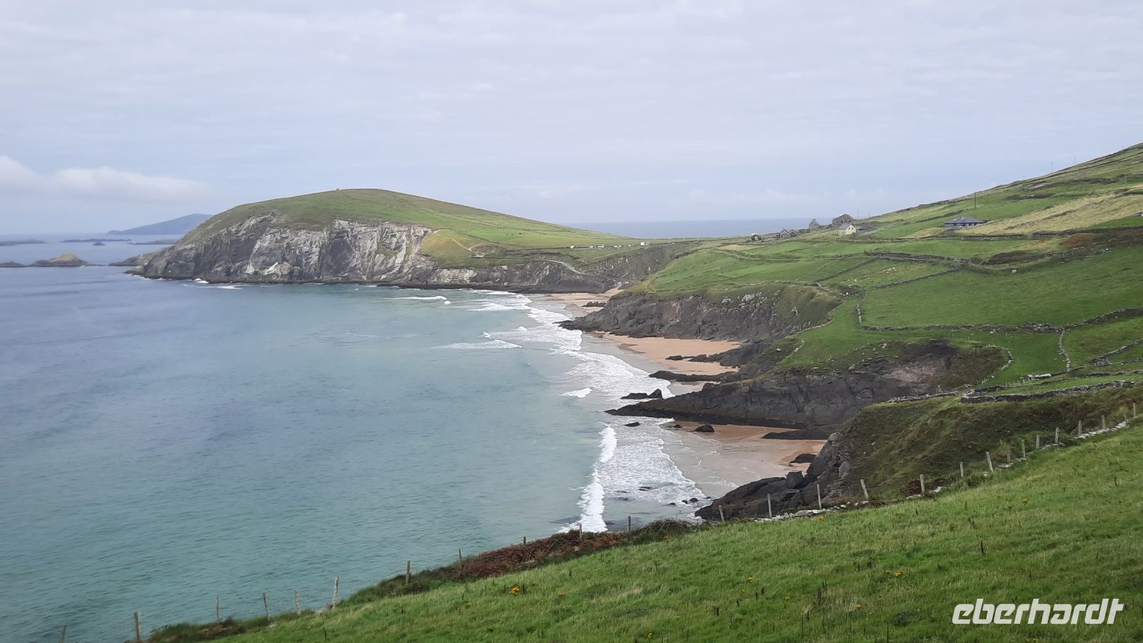 Dingle