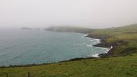 Dingle