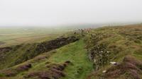 Dingle