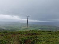 Dingle