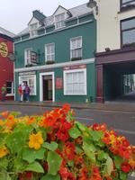 Dingle