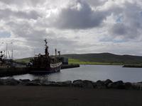 Dingle