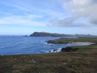 Dingle