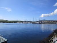 Dingle