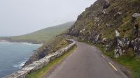 Dingle