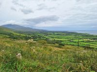 Dingle