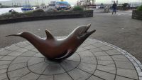 Dingle