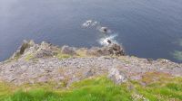Dingle