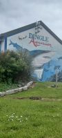 Dingle