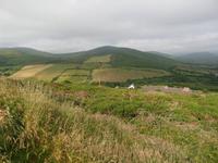 Dingle