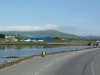 Dingle