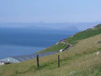 Dingle