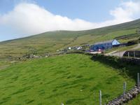 Dingle
