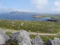 Dingle