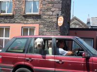Dingle