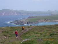 Dingle