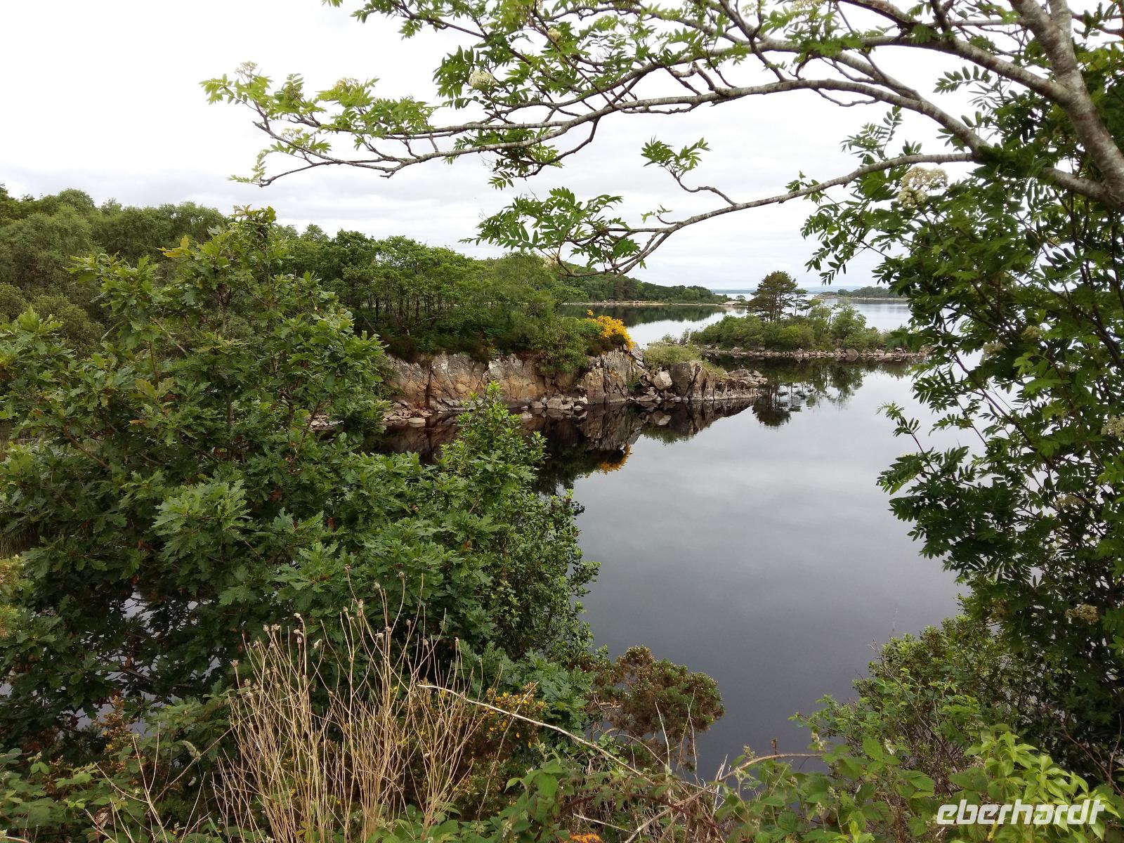 Donegal