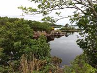 Donegal