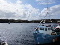 Donegal
