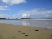 Donegal