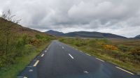 Donegal