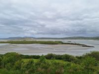 Donegal