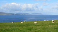 Downpatrick Head