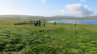 Downpatrick Head