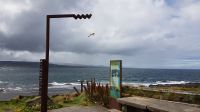 Downpatrick Head