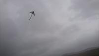 Drachen am Mt. Errigal