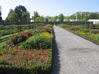 Dublin Phoenix Park