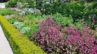 Dublin Walled Garden