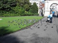 Dublin