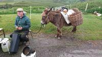 Esel und Hund am Ring