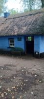 Freilandmuseum am Bunratty Castle