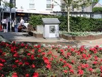 Galway