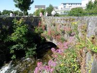 Galway