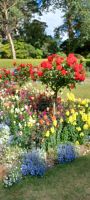 Garten am Muckross Castle