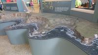 Giants Causeway im Relief im Besucherzentrum