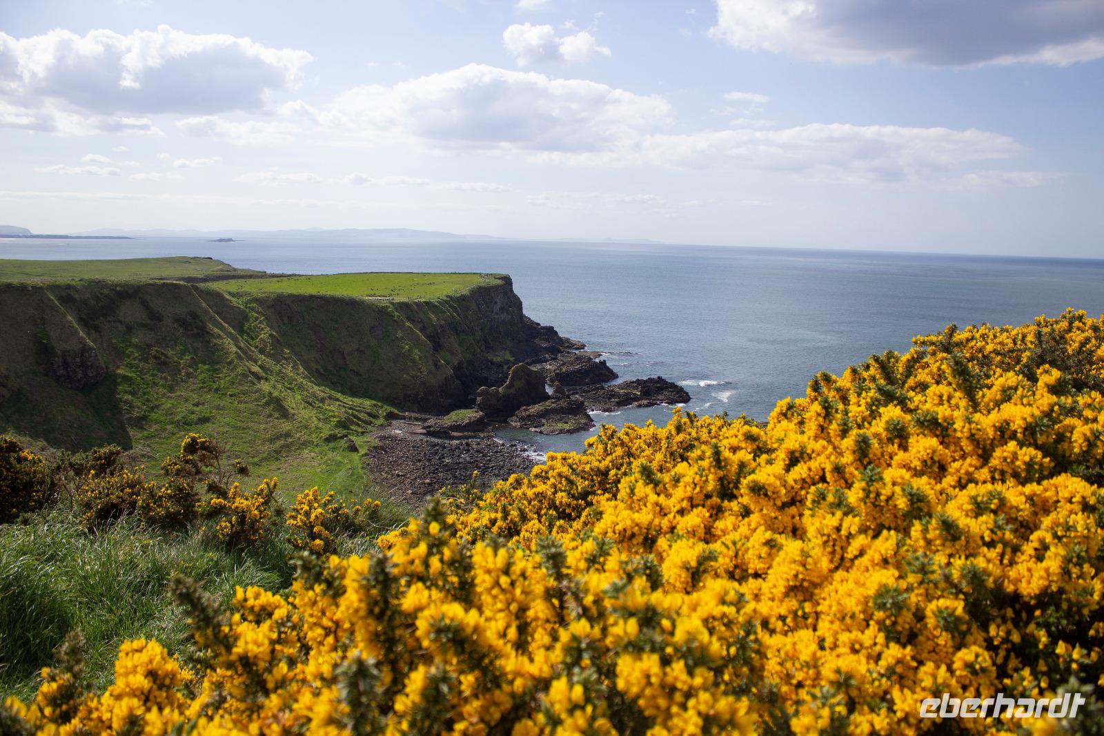 Giants Causeway