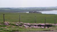 Giants Causeway
