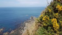 Giants Causeway
